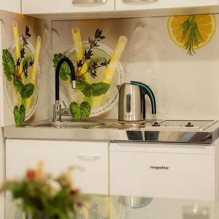 Relax House Soca Venkovský dům Bovec