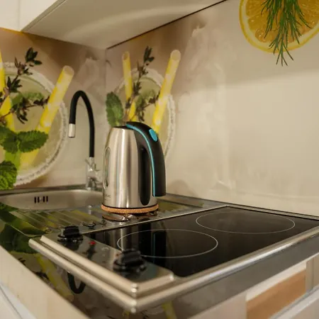 컨트리하우스 Relax House Soca 보베츠