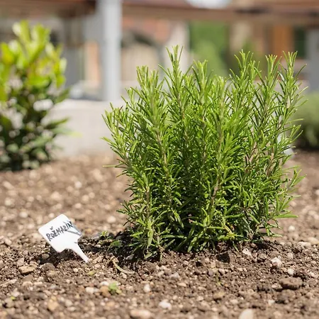 Relax House Soca * 보베츠