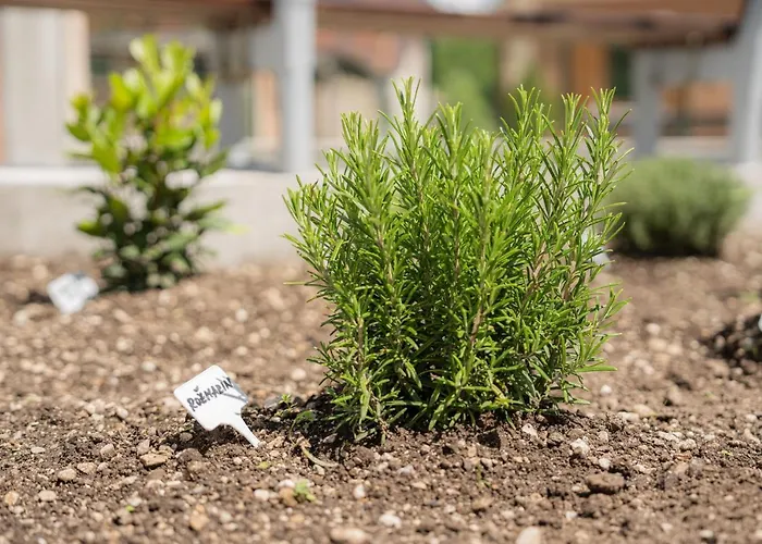 Relax House Soca * Bovec